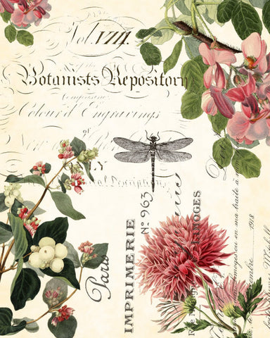 Spring Study Collage Plate 1- Botanical Art Print