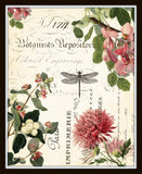 Spring Study Collage Plate 1- Botanical Art Print