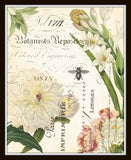 Spring Study Collage Plate 2 - Botanical Art Print