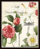 Spring Study Collage Plate 4 - Botanical Art Print
