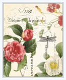 Spring Study Collage Plate 4 - Botanical Art Print
