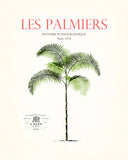 Vintage French Palm Tree Collage No. 13 - Botanical Print