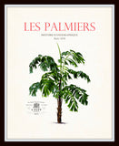 Vintage French Palm Tree Collage No. 39 - Botanical Print