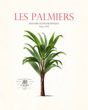 Vintage French Palm Tree Collage No. 15 - Botanical Print