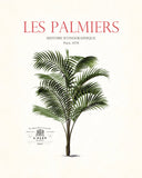 Vintage French Palm Tree Collage No. 34 - Botanical Print
