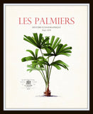 Vintage French Palm Tree Collage No. 35 - Botanical Print
