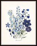 Fleurs de Jardin Blue Series No.1 - Botanical Art Print