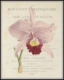 Vintage French Orchid Collage No.1 - Botanical Art Print