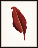 Vintage Botanical Tropical Leaf Series No. 8