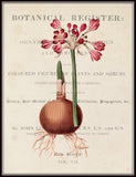 Vintage Floral Collage No.12 - Botanical Print