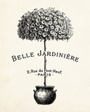 Belle Jardiniere Topiary - Botanical Print