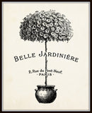 Belle Jardiniere Topiary - Botanical Print
