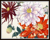 Vintage Japanese Woodblock Series 1 No.20 - Botanical Print