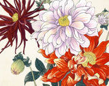 Vintage Japanese Woodblock Series 1 No.20 - Botanical Print