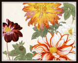 Vintage Japanese Woodblook Series 1 No. 26 - Botanical Print