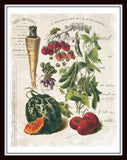 French Vegetable Collage No.2 - Botanical Print