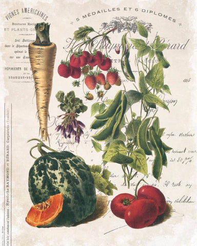 French Vegetable Collage No.2 - Botanical Print