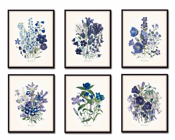 Fleurs de Jardin Print Set No. 6 - Botanical Print Set