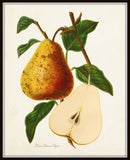 French Pears Botanical Print Set