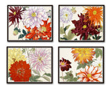 Garden Study Series 2 Botanical Collage Print Set