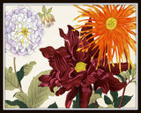 Garden Study Series 2 Botanical Collage Print Set