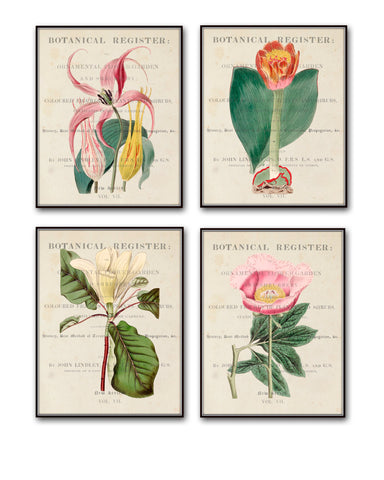 Vintage Floral Botanical Print Set No.12