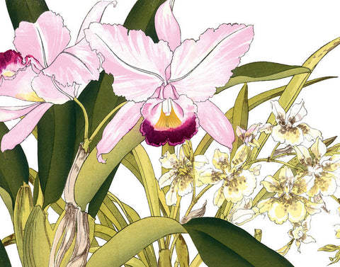 Tropical Woodblock Orchids Botanical Print No.2 - Giclee Print