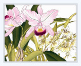 Tropical Woodblock Orchids Botanical Print No.2 - Giclee Print