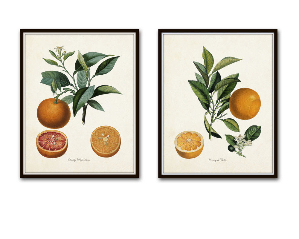 BOTANICAL ART 【import品】 BOTANICAL ART 【import品】 flowers-garden-victorian-