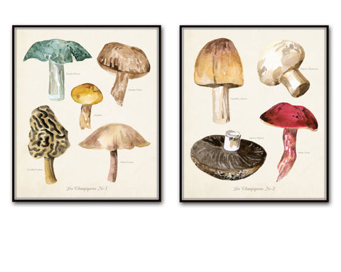 Watercolor Mushrooms Botanical Print Set