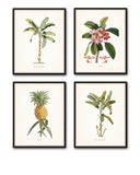 Tropical Botanical Print Set No. 1