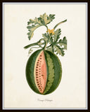 French Fruit Botanical Print Set No. 12