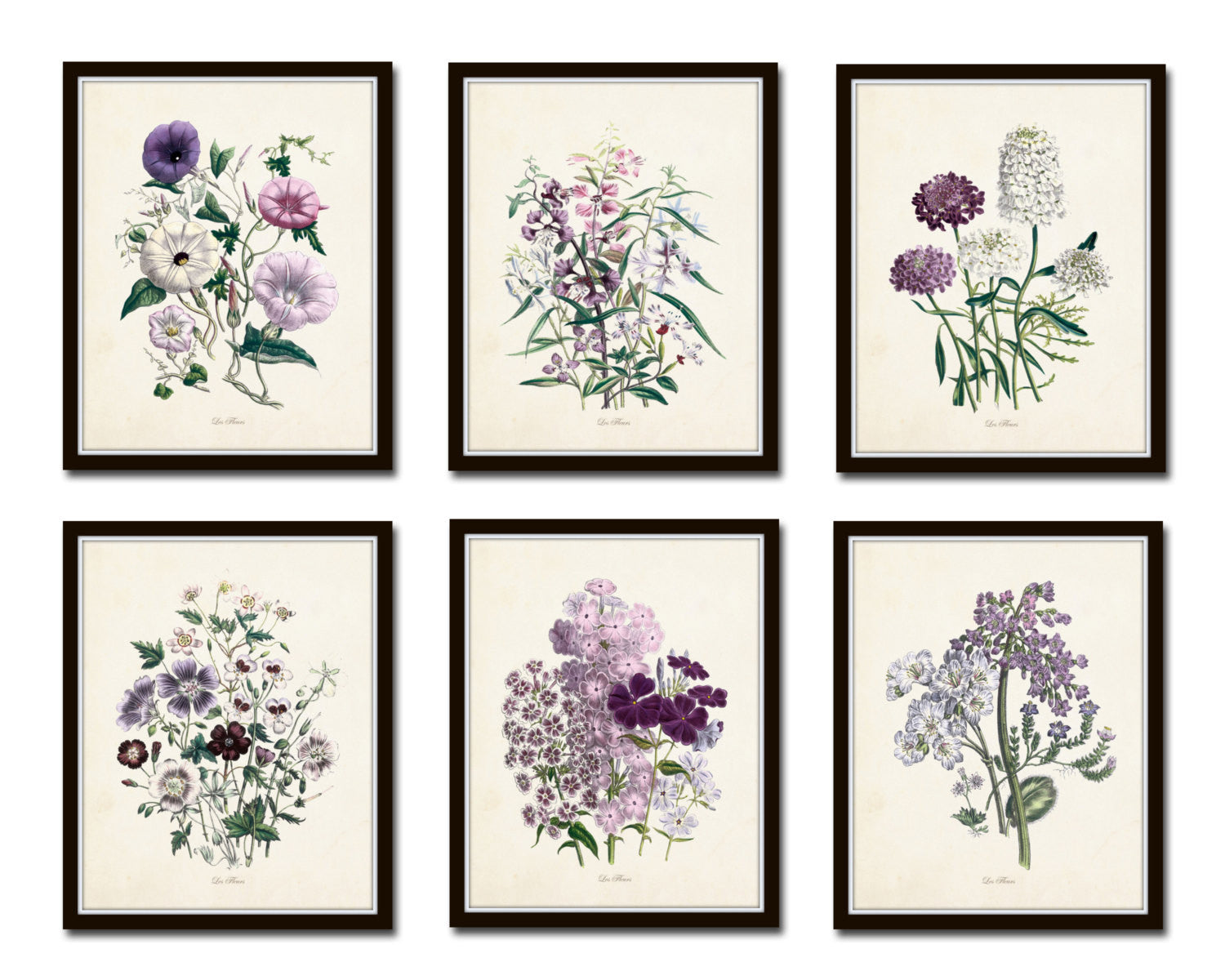seven by seven Botanical print 【公式通販】