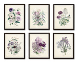 Les Fleurs Print Set No. 7 - Botanical Print Set