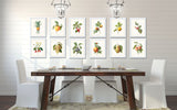 Antique Redoute Fruit Prints Set No 4