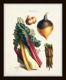 French Vegetable Print Set No. 4