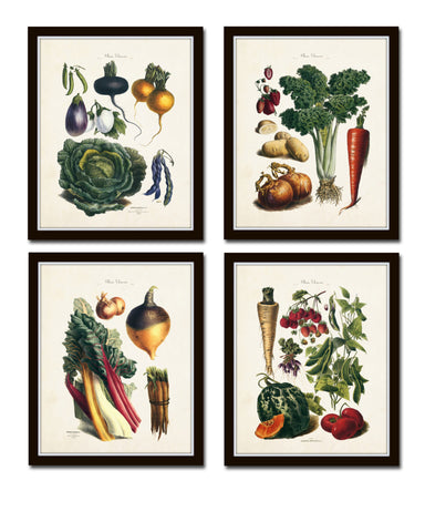 French Vegetable Botanical Print Set No. 8