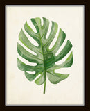 Watercolor Tropical Leaf Set No. 2