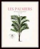 Vintage French Palm Tree Print Set No. 2 - Botanical Prints