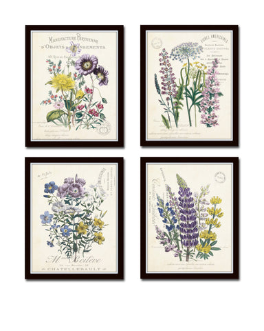 French Botanical Collage Print Set No. 2