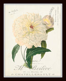 French Botanical Collage Print Set No. 3