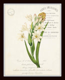 French Botanical Collage Print Set No. 3
