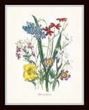 Fleurs de Jardin Botanical Print Set No. 15