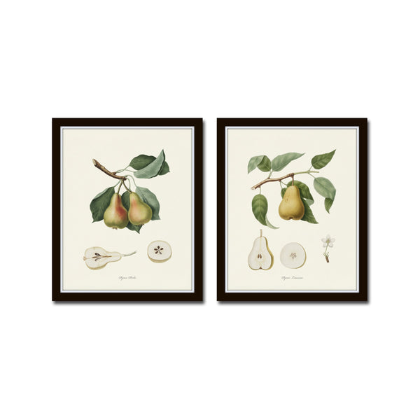 Vintage Pears Print Set